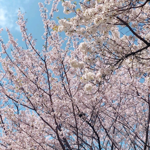 Meet your Posher, Dolores - Picture 1 of 1